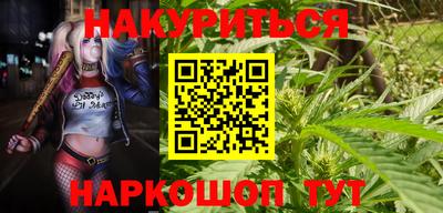 Альфа ПВП Обь